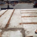 FB_IMG_1646832051687